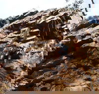 Rock Climbing in Morialta - Accommodation NSW