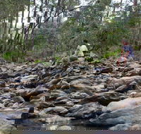 Rocksberg Park Heritage Reserve - Accommodation NSW