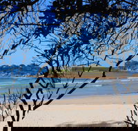 Sandon Beach - Accommodation NSW