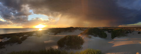 Shelly Beach Dune Walk Trail - Accommodation NSW 2