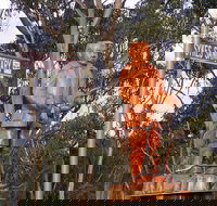 Sykes Sanctuary - Accommodation NSW