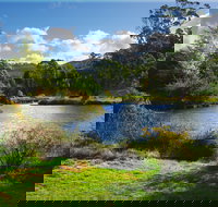 Tasmanian Arboretum Inc. - The - Accommodation NSW