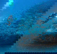The Zanoni Wreck - Accommodation NSW