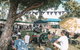 The Village Markets - thumb 2
