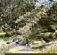 Wollomombi Walking Track - Accommodation NSW