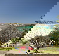 Bondi to Coogee Coastal Walk - Accommodation NSW