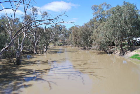 Bush Tucker Trail - Accommodation NSW 0