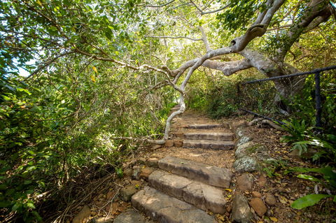 Capricorn Coast National Park - Accommodation NSW 2