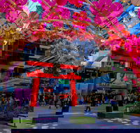 Cherry Blossom Festival - World Square - Accommodation NSW