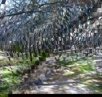 Federation Walk - Accommodation NSW