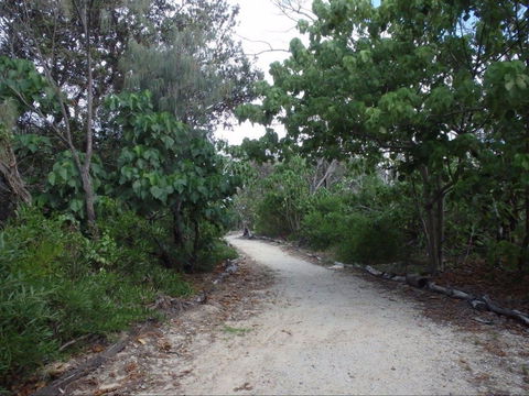 Federation Walk - Accommodation NSW 1