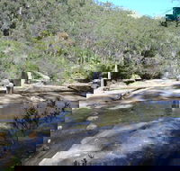 Frere's Crossing Bushwalk - Accommodation NSW