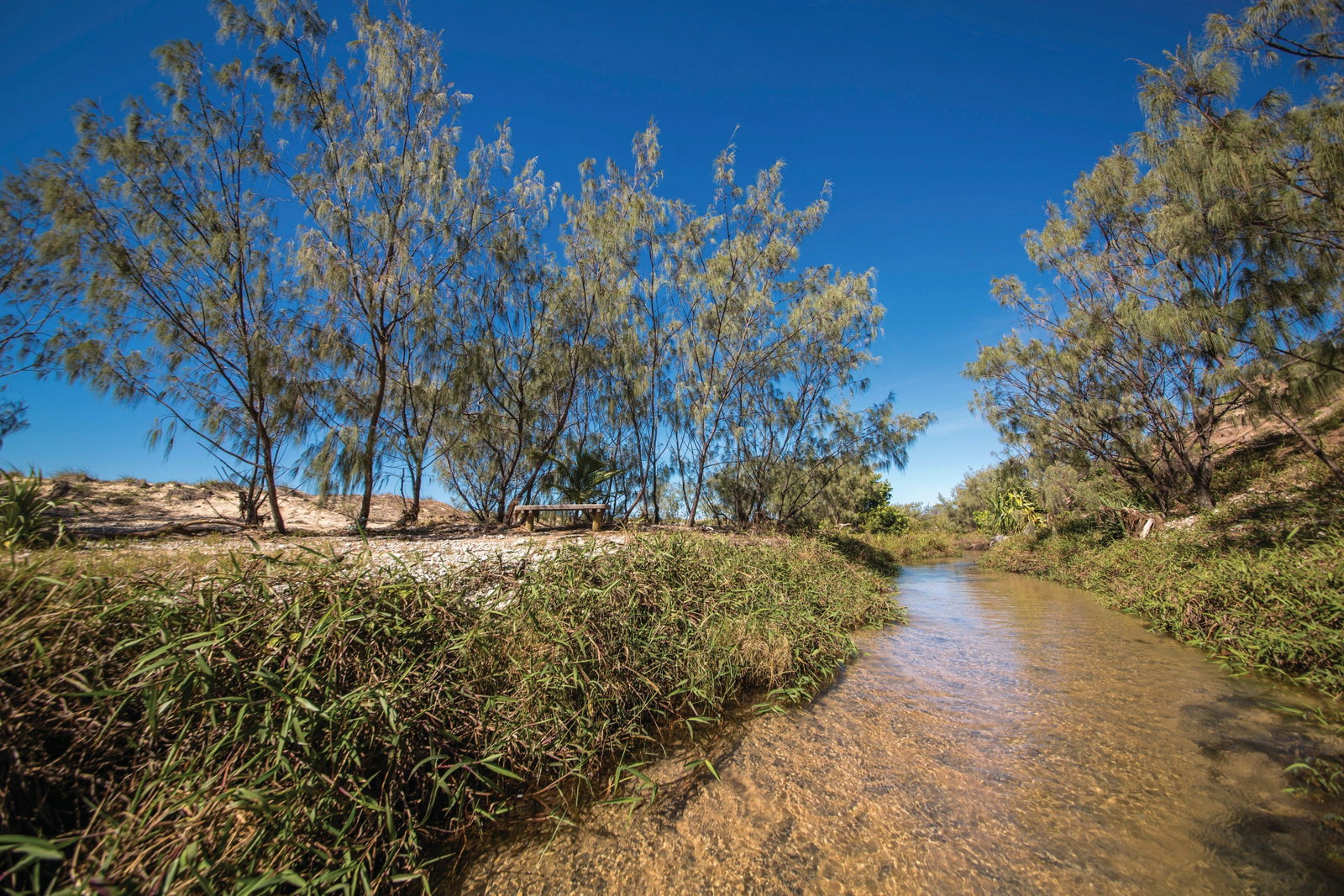 Farnborough QLD Accommodation NSW