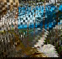 Gulaga Mountain Walk - Accommodation NSW