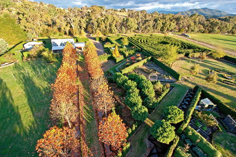 High Country Maze - Accommodation NSW 1