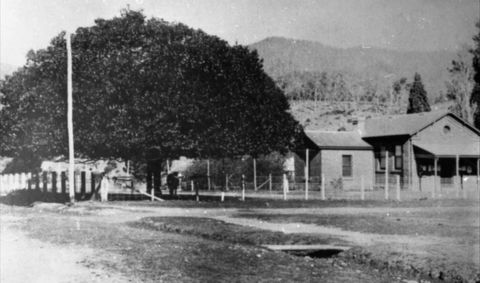 Jamieson Museum - Accommodation NSW 0