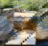 John Oxley Monument - Accommodation NSW