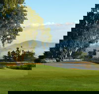 Kangaroo Tours at Gisborne Golf Club Inc - Accommodation NSW