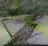 Leschenault Peninsula Conservation Park - Accommodation NSW
