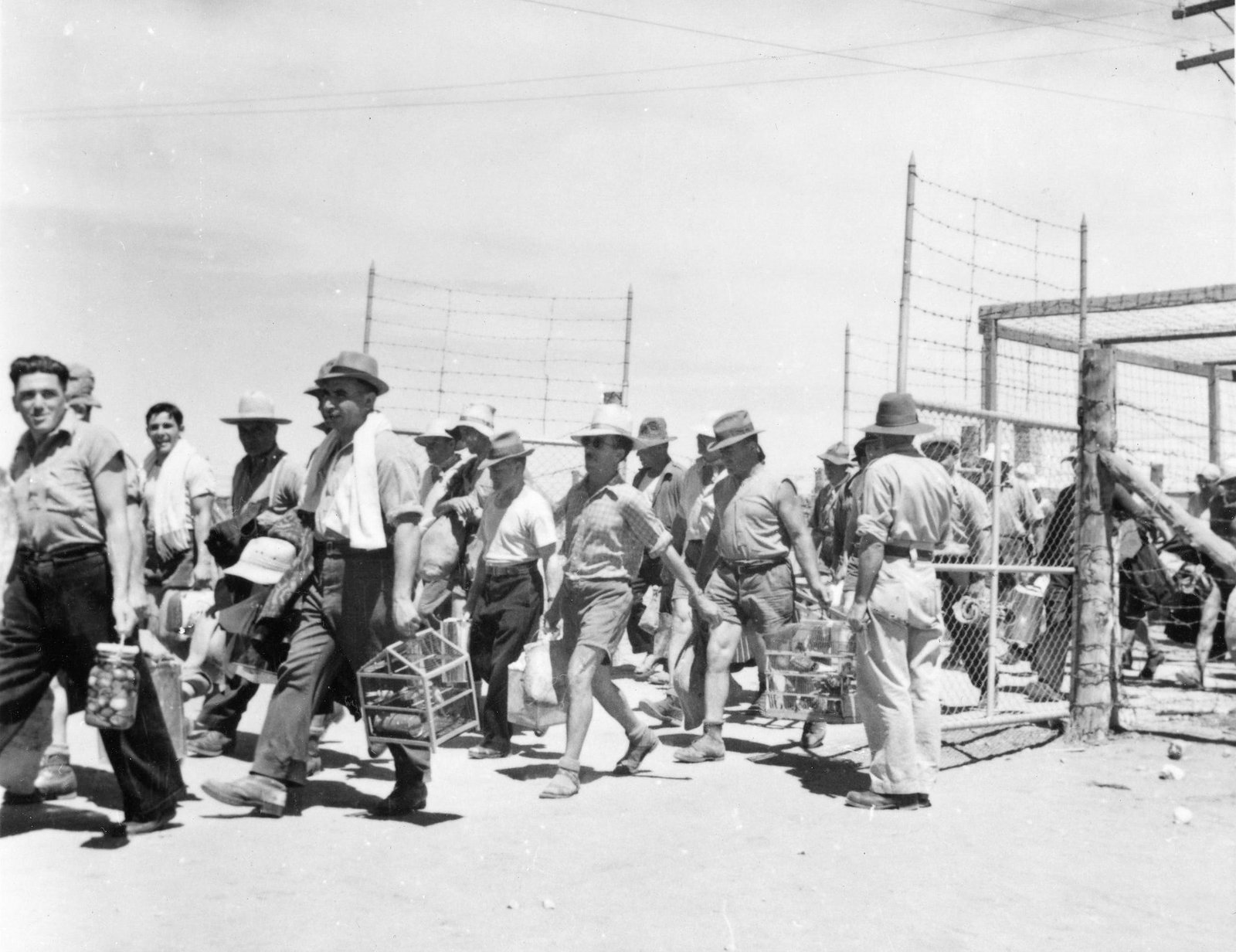 Loveday SA Accommodation NSW