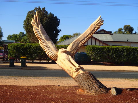 Loxton Tree Sculptures - Accommodation NSW 0