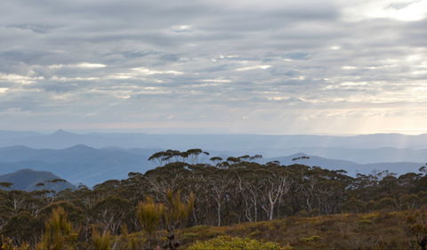 Mount Budawang Trail - Accommodation NSW 0