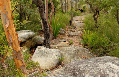 Mount Olive Trail - Accommodation NSW 0