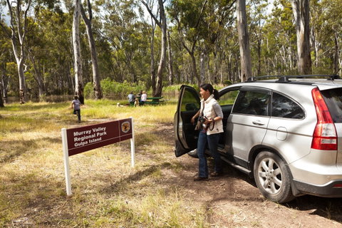 Murray Valley Regional Park - Accommodation NSW 0