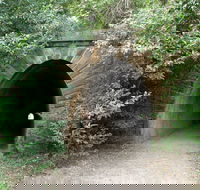 Mushroom Tunnel - Accommodation NSW