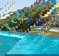 Oaklands War Memorial Swimming Pool - Accommodation NSW