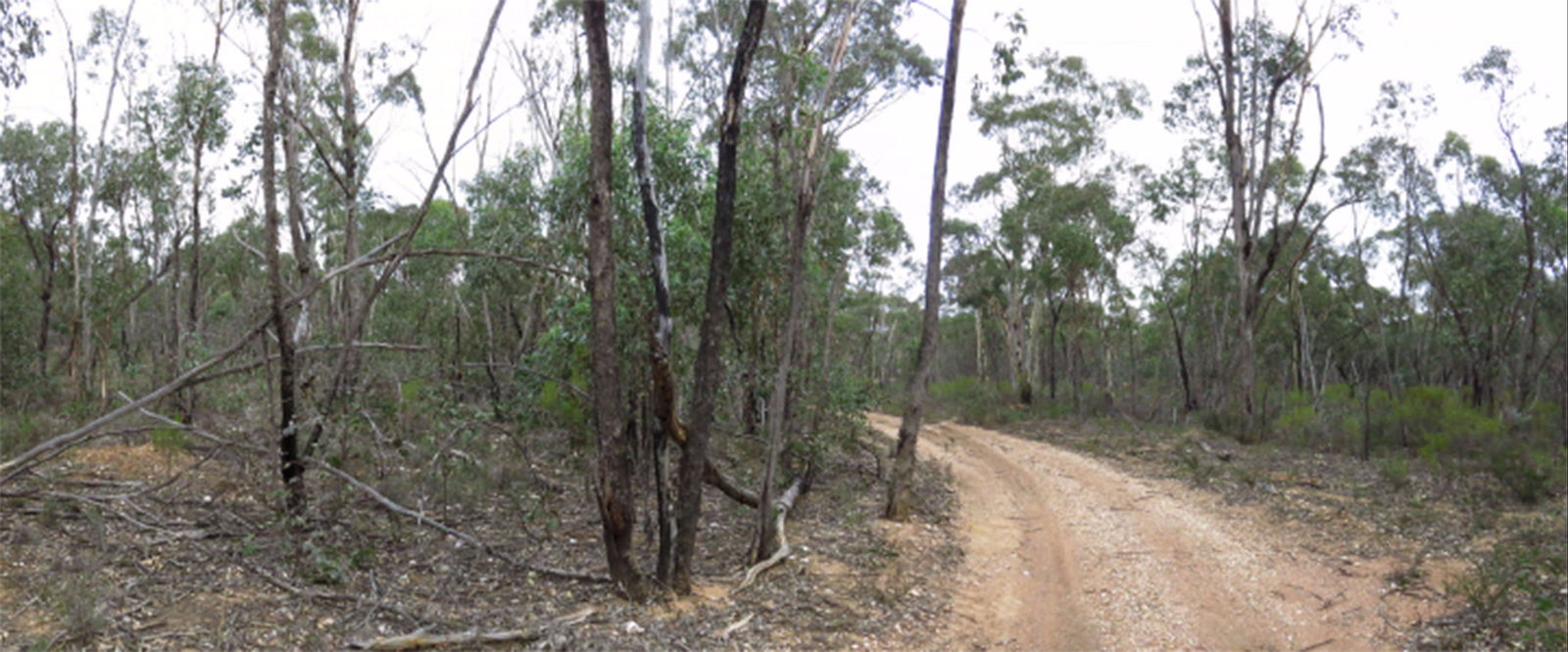 Adelaide Lead VIC Accommodation NSW