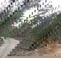 Paddys Ranges State Park - Accommodation NSW