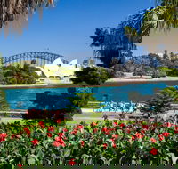 Royal Botanic Garden and the Domain - Accommodation NSW