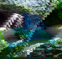 Springbrook - Accommodation NSW