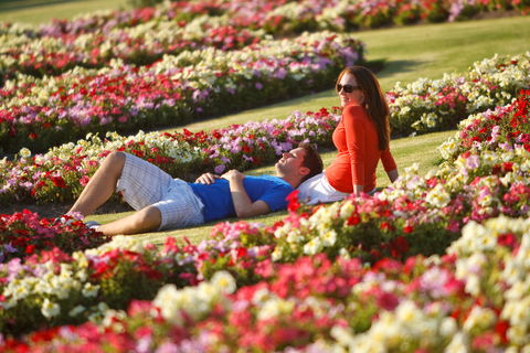 Victoria State Rose Garden At Werribee Park - Accommodation NSW 1