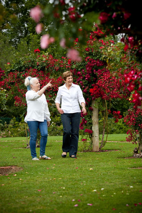Victoria State Rose Garden At Werribee Park - Accommodation NSW 2