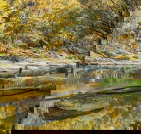 Warrabah National Park - Accommodation NSW
