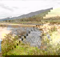Willis picnic area - Accommodation NSW