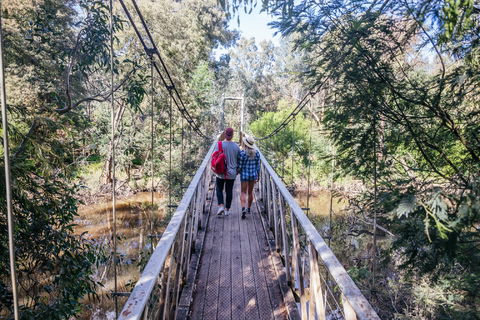 Yea Wetlands Walk - Accommodation NSW 0