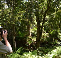 Alfred National Park - Accommodation NSW
