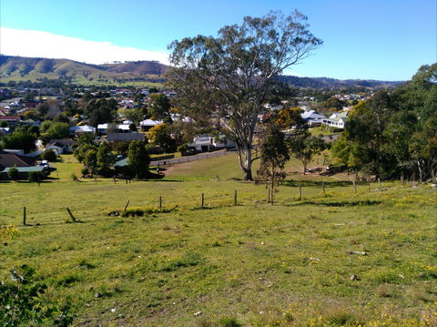 Apex Lookout Dungog - Accommodation NSW 1