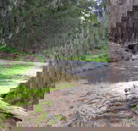 Bangadilly National Park - Accommodation NSW