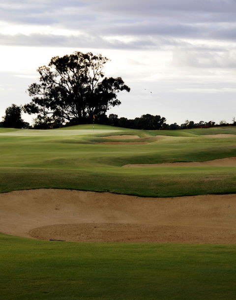 Black Bull Golf Course - Accommodation NSW 1