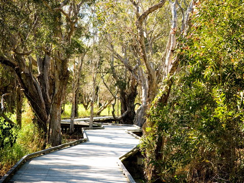 Eagleby Wetlands - Accommodation NSW 1