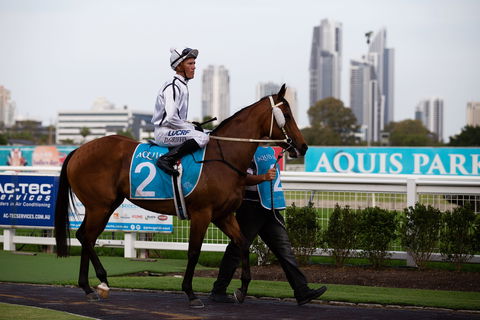 Gold Coast Turf Club - Accommodation NSW 2