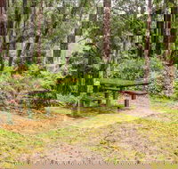 Goodenia Rainforest picnic area - Accommodation NSW