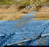 Groper Creek - Accommodation NSW