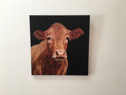 Ivy Hill Gallery - Accommodation NSW 2