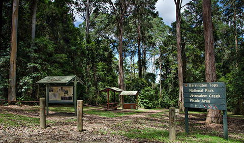 Jerusalem Creek Picnic Area - Accommodation NSW 0