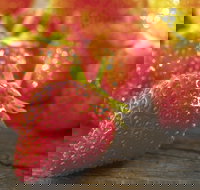 Lambs Valley - Accommodation NSW